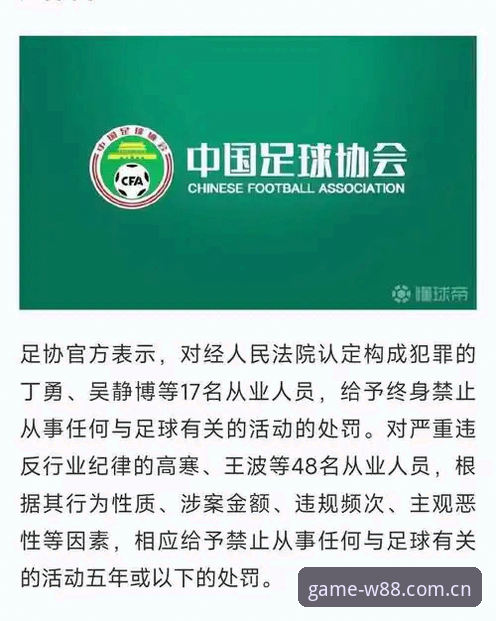 中国足协第三批禁足名单全面解析：行业整顿背后的深层逻辑与趋势